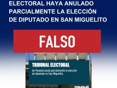 Nulidad-impugnación-demanda-San Miguelito-elección parcial-TE-Tribunal Electoral-verificadocontigo.com