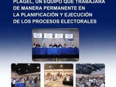 PLAGEL-Coordinación PLAGEL-PLAN GENERAL DE ELECCIONES-TE-TRIBUNAL ELECTORAL-verificadocontigo.com