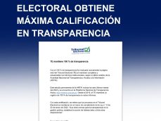 Página web Tribunal Electoral-transparencia-TE-Tribunal Electoral-ANTAI-verificadocontigo.com