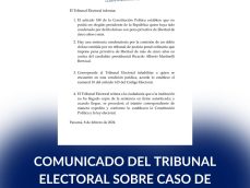 Texto del párrafo (22)