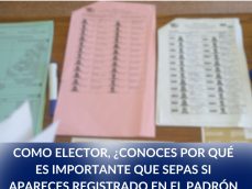 Padrón Electoral Final-padrón-Tribunal Electoral-verificadocontigo.com