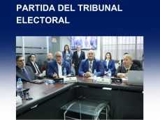 Tribunal Electoral-partida-Asamblea Nacional-Comisión de Presupuesto-verificadocontigo.com