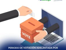 e98f1a2b-3919-4dc7-aaa5-9258cc0d1e30