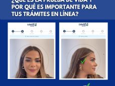 fe de vida-prueba de vida-trámites en línea-cédula digital-billetera digital-wallet digital-renovación de cédula-cédula-duplicado de cédula-Tribunal Electoral-TE-verificadocontigo.com