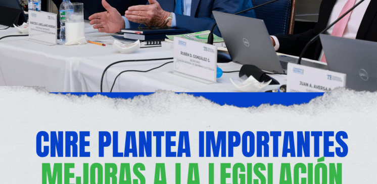 plantillas de entrevista (5)