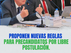 plantillas de entrevista (7)