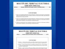 Candidaturas en firme-candidatos-Código Electoral-Decreto-Tribunal Electoral-verificadocontigo.com-Boletín Electoral Candidaturas en firme-candidatos-Código Electoral-Decreto-Tribunal Electoral-verificadocontigo.com-Boletín Electoral
